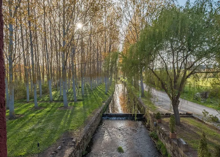 El Molino De Salinas 3*