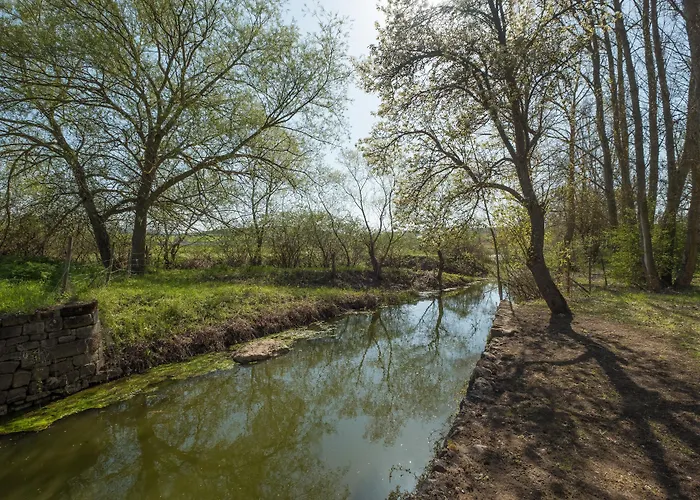 Hotel El Molino De Salinas 3*